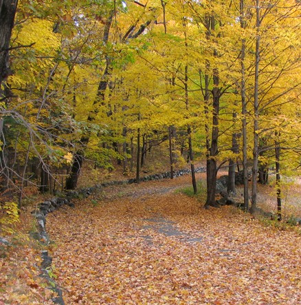 Image if Meetinghouse Walkway in Autumn